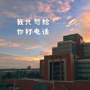 我只想给你打电话