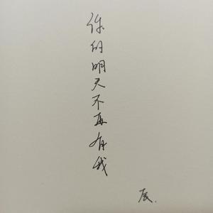 你的明天不再有我