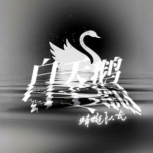 白天鹅