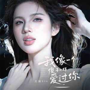 我像一个傻子一样的爱过你 (DJ弹鼓版)