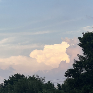 让我在无尽的公路上疾驰