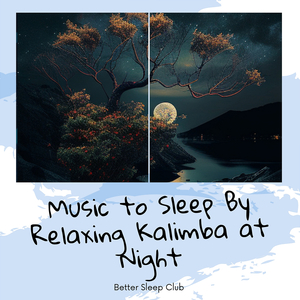 Good Vibration (Night Sound)