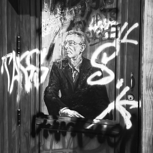 花园里的流星雨