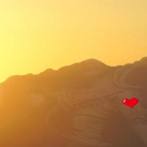loves not real