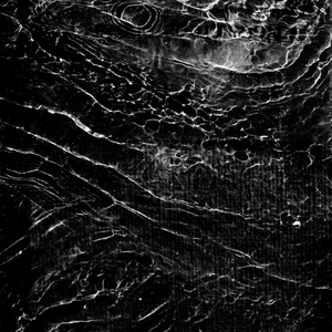 Петропавлівський вулик №2