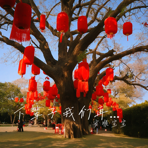 下辈子我们再遇见 DJ版伴奏