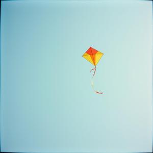 終わったんだ 頑張る時代 これからは楽しんだもん勝ちだ