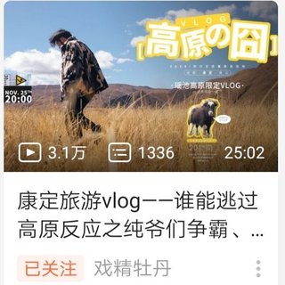 戏精牡丹 康定旅游vlog歌单