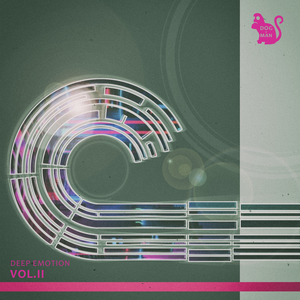 Pass13 (Original Mix)