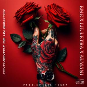 SENTIMIENTOS DE UN GANSTER (feat. Almanijc & Lil Letra)