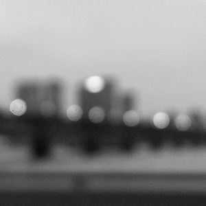 告别远去的飞鸟