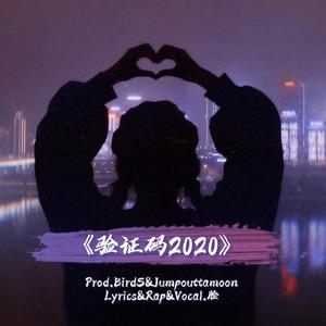 验证码2020