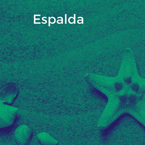 Espalda