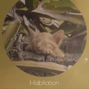 Habitation