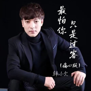 最怕你只是过客 (痛心版)