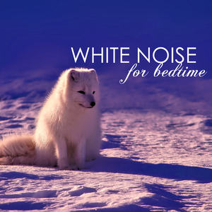 JORD90253_-_Psycho_25BPM_GUITAR_Spa2_1_1