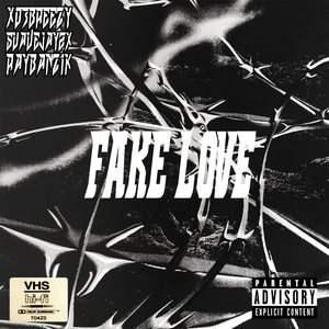 Fake Love