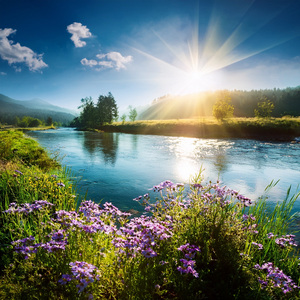 A Moment Of Stillness In The Mind