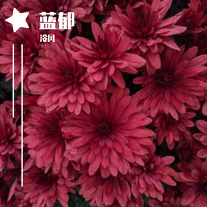 泠风