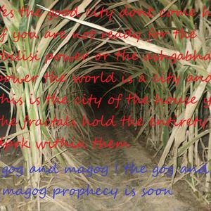 Ep. 2 (Prophetic Vision)