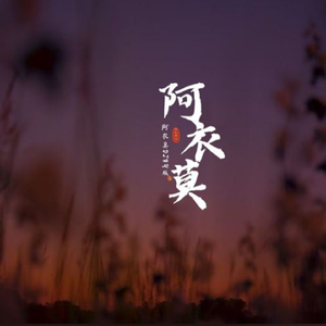 阿衣莫（DJHY版）