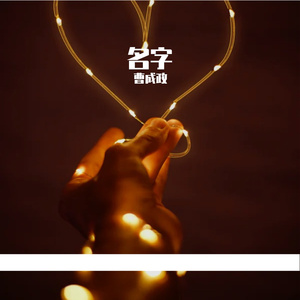 路过人间的情书