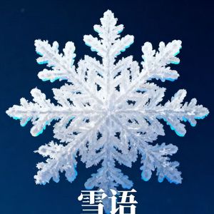 雪语❅·°（prod.undislove）