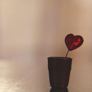 木头的心（Cover 左颜）