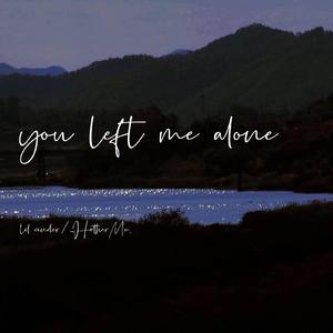you left me alone