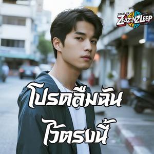 เหลือแค่เพียงเงา