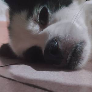 GGBABY