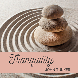 L’Amante Di Wittgenstein