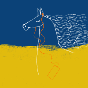 Hee Porgi (Feni Mix)