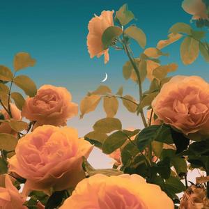 ”2“ POLO G Type Beat