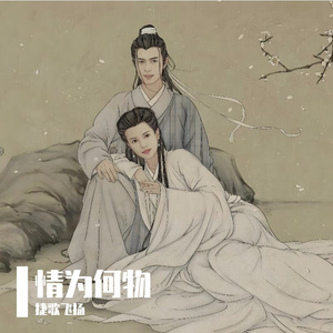 情为何物 伴奏