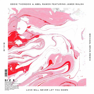 Love Will Never Let You Down (Michael Brun Remix)