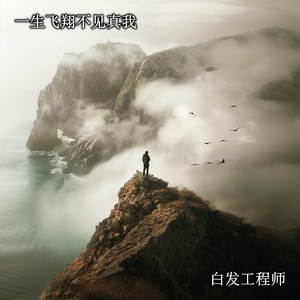 一生飞翔不见真我