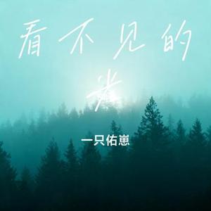 看不见的光 (Cover 别问是海波)