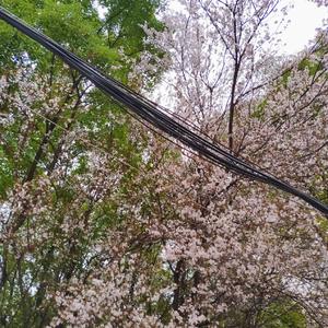 The Other Side of Paradise