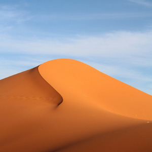 Amber Horizon