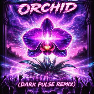 Static Orchid (EDM)