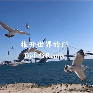 推开世界的门（Dj小裕Remix）