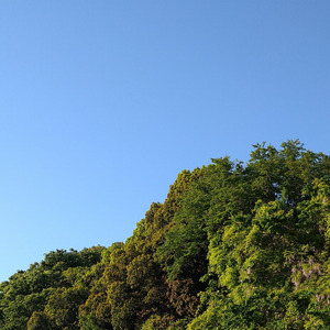 晴れた日は魔法