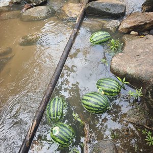 格局大