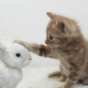 love u in different ways（Prod.harui）