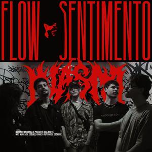 Flow & Sentimento