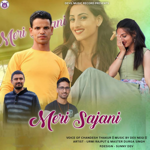 Meri Sajani