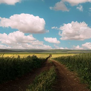 Raindruight（翻自Saiakoup)