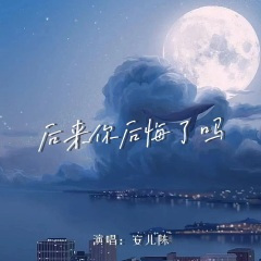 后来你后悔了吗 (DJ彭锐版)