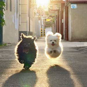 心晴预报(女声版)